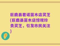 巨鹿县君诺苗木店灵芝(巨鹿县苗木店惊现珍贵灵芝，引发市民关注)