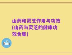 山药和灵芝作用与功效(山药与灵芝的健康功效合集)