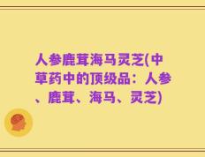 人参鹿茸海马灵芝(中草药中的顶级品：人参、鹿茸、海马、灵芝)