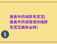 康美中药城野生灵芝(康美中药城发现珍稀野生灵芝藏身山林)