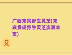 广西来宾野生灵芝(来宾发现野生灵芝资源丰富)