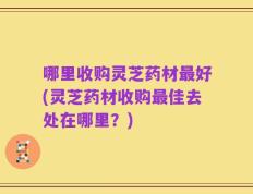 哪里收购灵芝药材最好(灵芝药材收购最佳去处在哪里？)