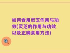 如何食用灵芝作用与功效(灵芝的作用与功效以及正确食用方法)