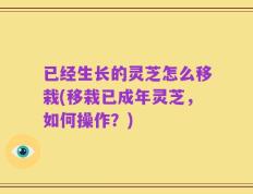 已经生长的灵芝怎么移栽(移栽已成年灵芝，如何操作？)