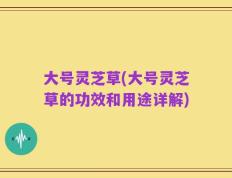 大号灵芝草(大号灵芝草的功效和用途详解)