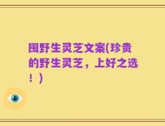 囤野生灵芝文案(珍贵的野生灵芝，上好之选！)
