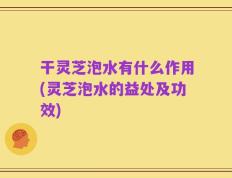 干灵芝泡水有什么作用(灵芝泡水的益处及功效)