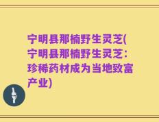 宁明县那楠野生灵芝(宁明县那楠野生灵芝：珍稀药材成为当地致富产业)