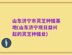 山东济宁市灵芝种植基地(山东济宁现日益兴起的灵芝种植业)