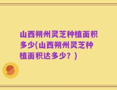 山西朔州灵芝种植面积多少(山西朔州灵芝种植面积达多少？)