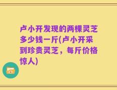 卢小开发现的两棵灵芝多少钱一斤(卢小开采到珍贵灵芝，每斤价格惊人)