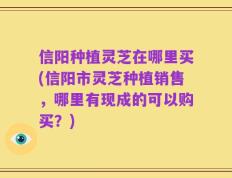信阳种植灵芝在哪里买(信阳市灵芝种植销售，哪里有现成的可以购买？)