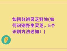 如何分辨灵芝野生(如何识别野生灵芝，5个识别方法必知！)