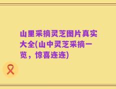 山里采摘灵芝图片真实大全(山中灵芝采摘一览，惊喜连连)
