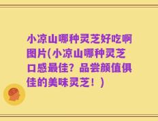 小凉山哪种灵芝好吃啊图片(小凉山哪种灵芝口感最佳？品尝颜值俱佳的美味灵芝！)