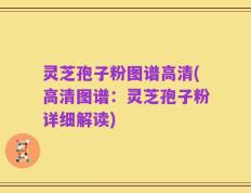 灵芝孢子粉图谱高清(高清图谱：灵芝孢子粉详细解读)