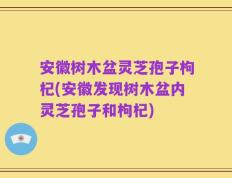 安徽树木盆灵芝孢子枸杞(安徽发现树木盆内灵芝孢子和枸杞)