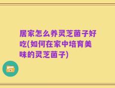 居家怎么养灵芝菌子好吃(如何在家中培育美味的灵芝菌子)