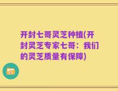 开封七哥灵芝种植(开封灵芝专家七哥：我们的灵芝质量有保障)