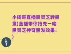 小杨哥直播黑灵芝转黑发(直播带你抢先一睹黑灵芝神奇黑发效果！)