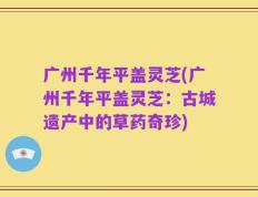 广州千年平盖灵芝(广州千年平盖灵芝：古城遗产中的草药奇珍)