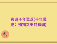 彩调千年灵芝(千年灵芝：植物之王的彩调)