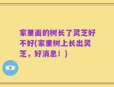家里面的树长了灵芝好不好(家里树上长出灵芝，好消息！)