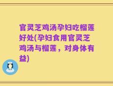 官灵芝鸡汤孕妇吃榴莲好处(孕妇食用官灵芝鸡汤与榴莲，对身体有益)