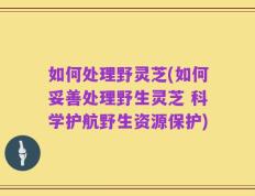 如何处理野灵芝(如何妥善处理野生灵芝 科学护航野生资源保护)