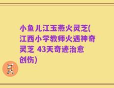 小鱼儿江玉燕火灵芝(江西小学教师火遇神奇灵芝 43天奇迹治愈创伤)