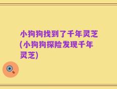 小狗狗找到了千年灵芝(小狗狗探险发现千年灵芝)