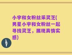 小宇和女粉丝采灵芝(男星小宇和女粉丝一起寻找灵芝，展现真情实感)