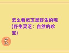怎么看灵芝是野生的呢(野生灵芝：自然的珍宝)