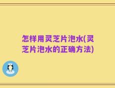 怎样用灵芝片泡水(灵芝片泡水的正确方法)