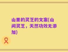 山里的灵芝的文案(山间灵芝，天然功效无添加)