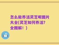 怎么能养活灵芝呢图片大全(灵芝如何养活？全图解！)