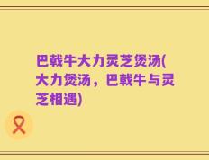 巴戟牛大力灵芝煲汤(大力煲汤，巴戟牛与灵芝相遇)