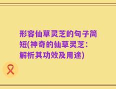 形容仙草灵芝的句子简短(神奇的仙草灵芝：解析其功效及用途)