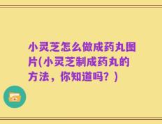 小灵芝怎么做成药丸图片(小灵芝制成药丸的方法，你知道吗？)