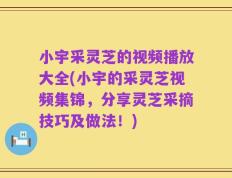 小宇采灵芝的视频播放大全(小宇的采灵芝视频集锦，分享灵芝采摘技巧及做法！)