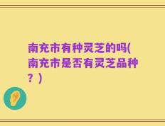 南充市有种灵芝的吗(南充市是否有灵芝品种？)