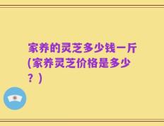 家养的灵芝多少钱一斤(家养灵芝价格是多少？)