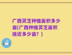 广西灵芝种植面积多少亩(广西种植灵芝面积接近多少亩？)