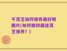 干灵芝如何保养最好呢图片(如何做到最佳灵芝保养？)