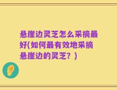 悬崖边灵芝怎么采摘最好(如何最有效地采摘悬崖边的灵芝？)