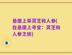 悬崖上采灵芝和人参(在悬崖上寻宝：灵芝和人参之旅)