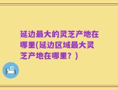 延边最大的灵芝产地在哪里(延边区域最大灵芝产地在哪里？)