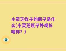 小灵芝样子的瓶子是什么(小灵芝瓶子外观长啥样？)