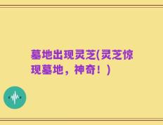 墓地出现灵芝(灵芝惊现墓地，神奇！)