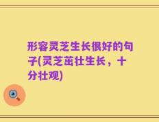 形容灵芝生长很好的句子(灵芝茁壮生长，十分壮观)